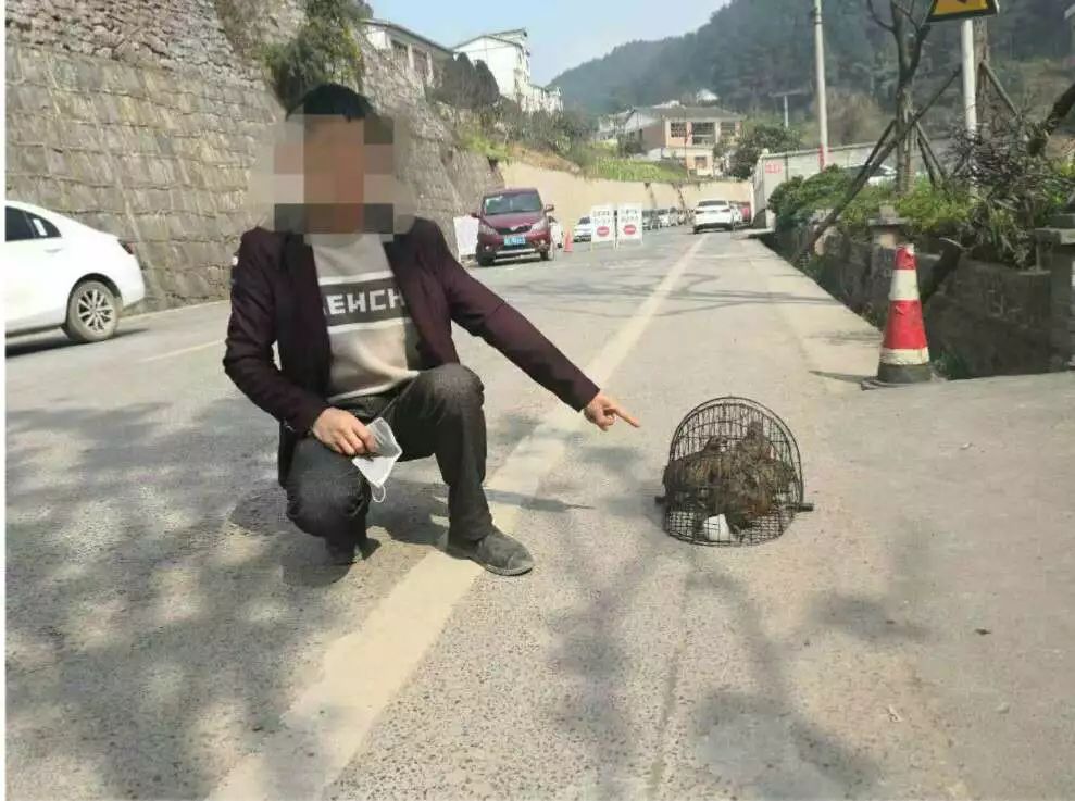 疫情当前,竟然有人捕猎野生动物!