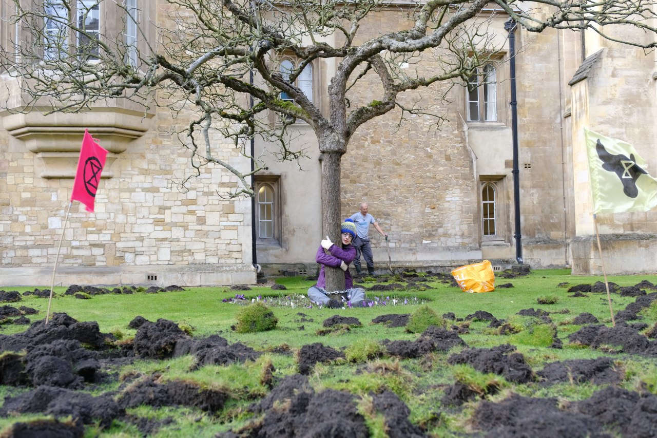 乱挖草坪还“捆绑”牛顿苹果树，环保组织在剑桥引众怒