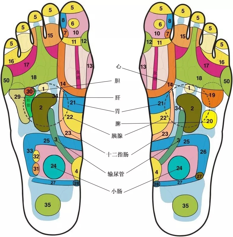 图3(图左对应右脚脚底,图右对应左脚脚底)
