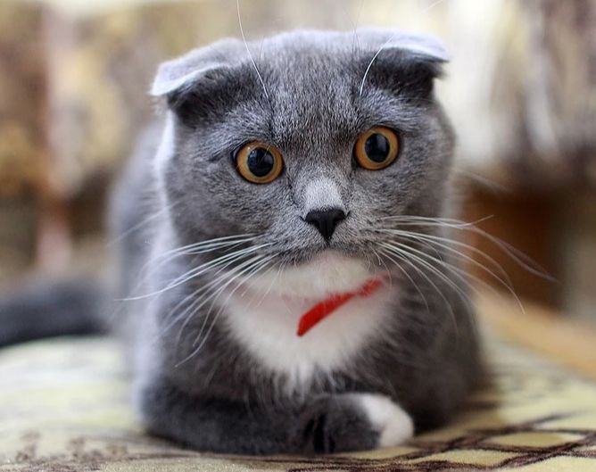 别等了！ 该给医护人员提薪了！