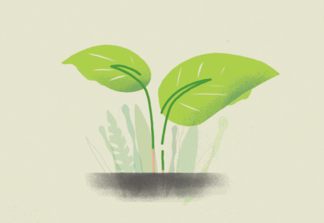 我和我的祖国守望春天