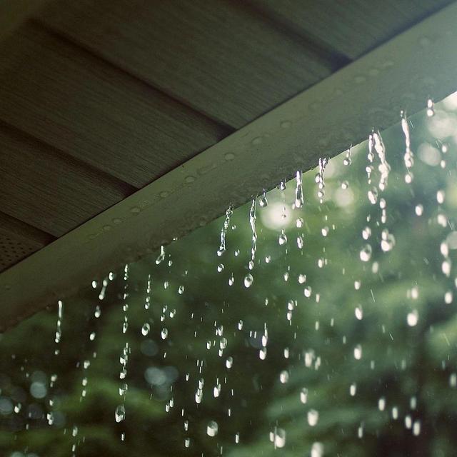 今日雨水——雨定会停,天定会晴