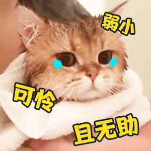 0ee5aa2279774c53a60d302513eaf1a8.gif