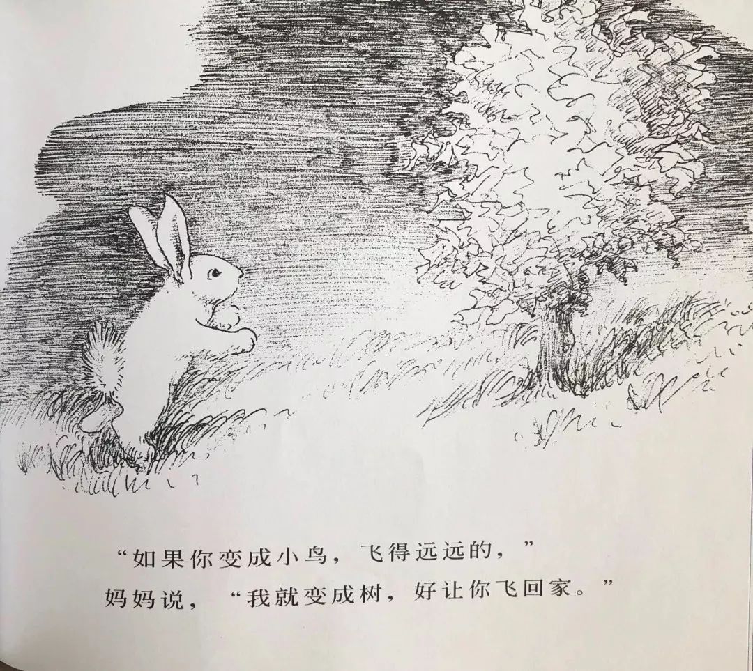 推荐一个绘本《逃家小兔》