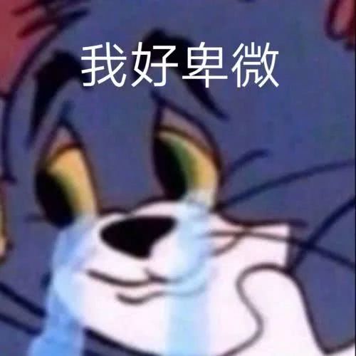 反馈问题表情包 1433d3b0d0d24b48aef6b279002d6749.jpeg