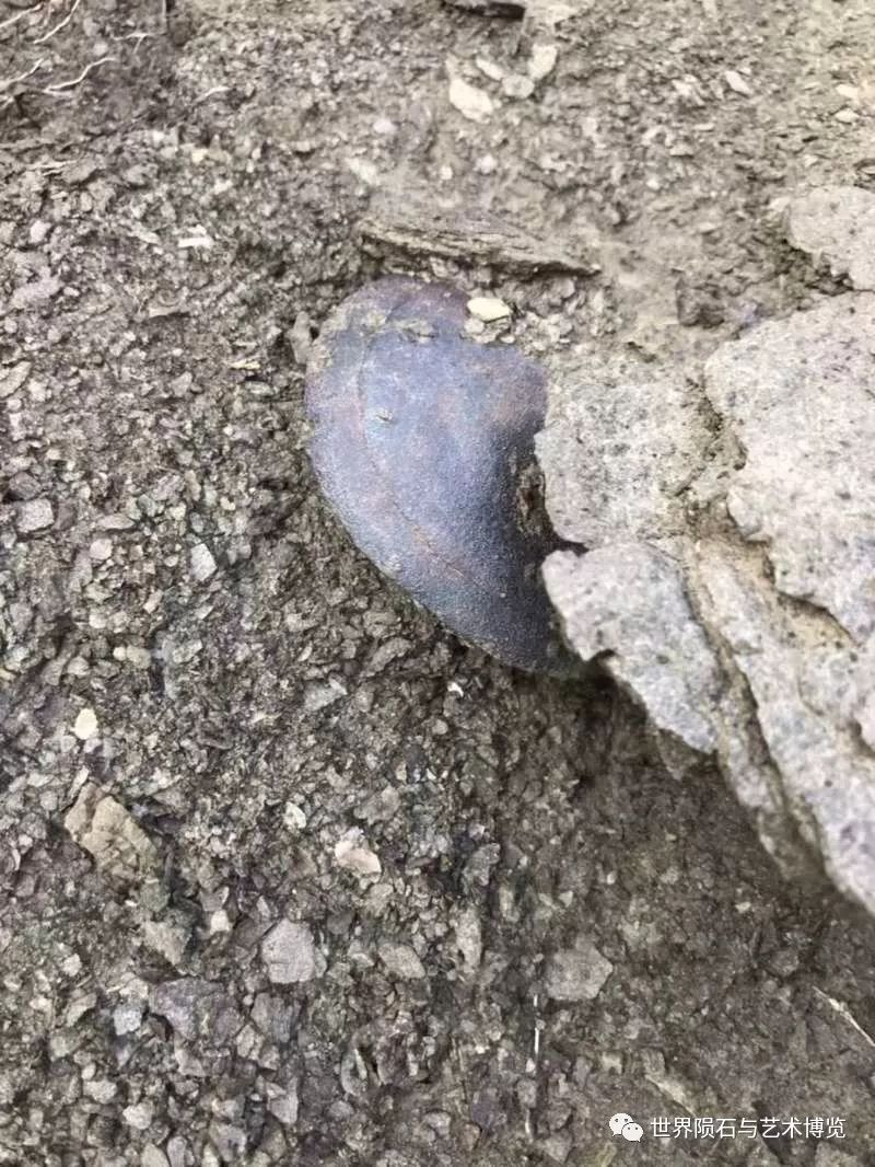 19f00c6c90af42d6870feb3c624a9642.jpeg