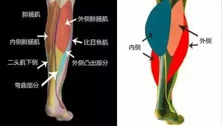 减大腿肉的有效方法 213bd78d87734f0085b44d2052245d69.jpeg