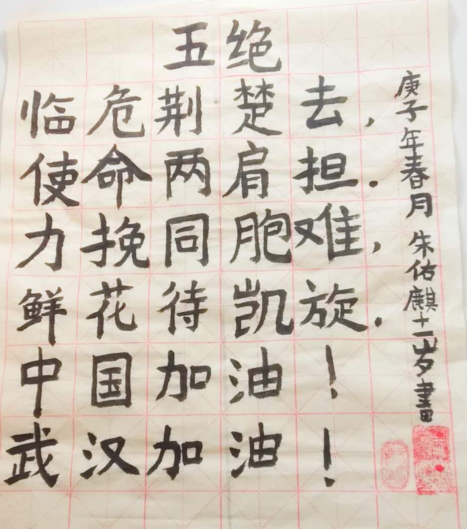 "民心向党,抗击疫情"网络书画展第六期 (青,少,儿版)