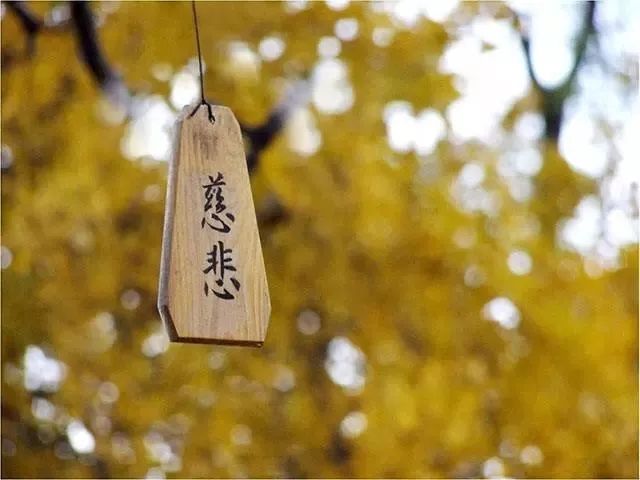 释怀最好的解释 3476937f0b2848d78a6ad40fc104e9c8.jpeg