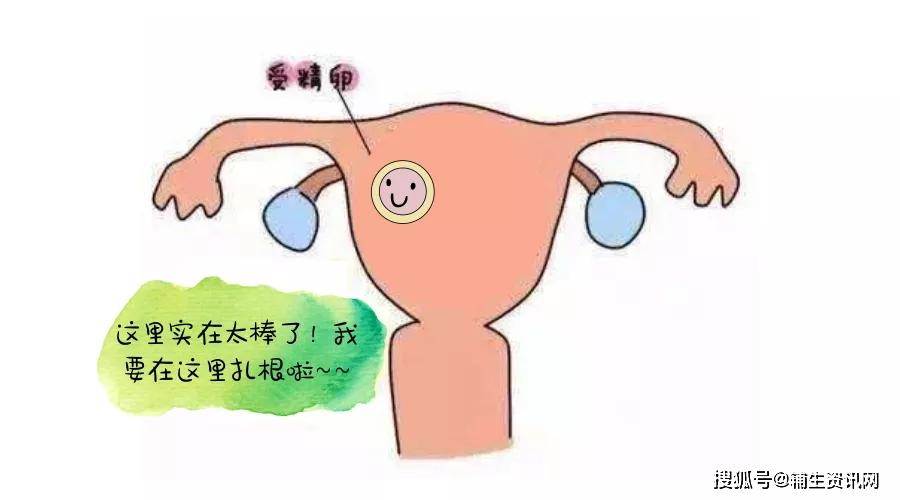 3e648136ce1f4fc8bd4a4ac3e3b33a53.jpeg