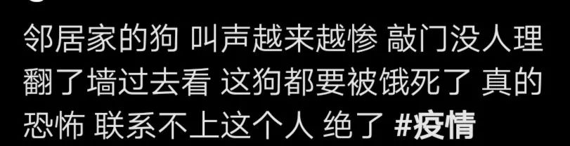 小區封閉管理，鄰居為了救助留守狗狗，不僅拿出晾衣桿，甚至還要翻牆？ 寵物 第6張