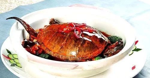 乌龟的做法大全1,红烧乌龟肉材料:乌龟500克,枸杞30克,核桃35克,味精