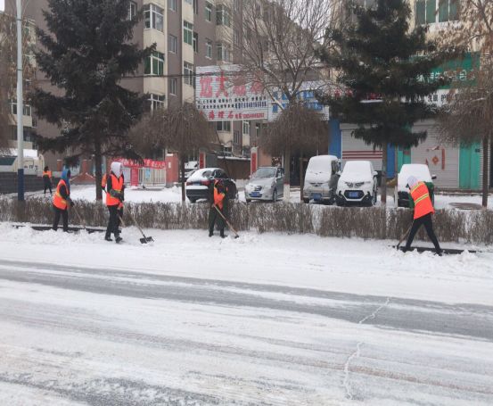 冷子堡镇冷后社区南青飞,下雪