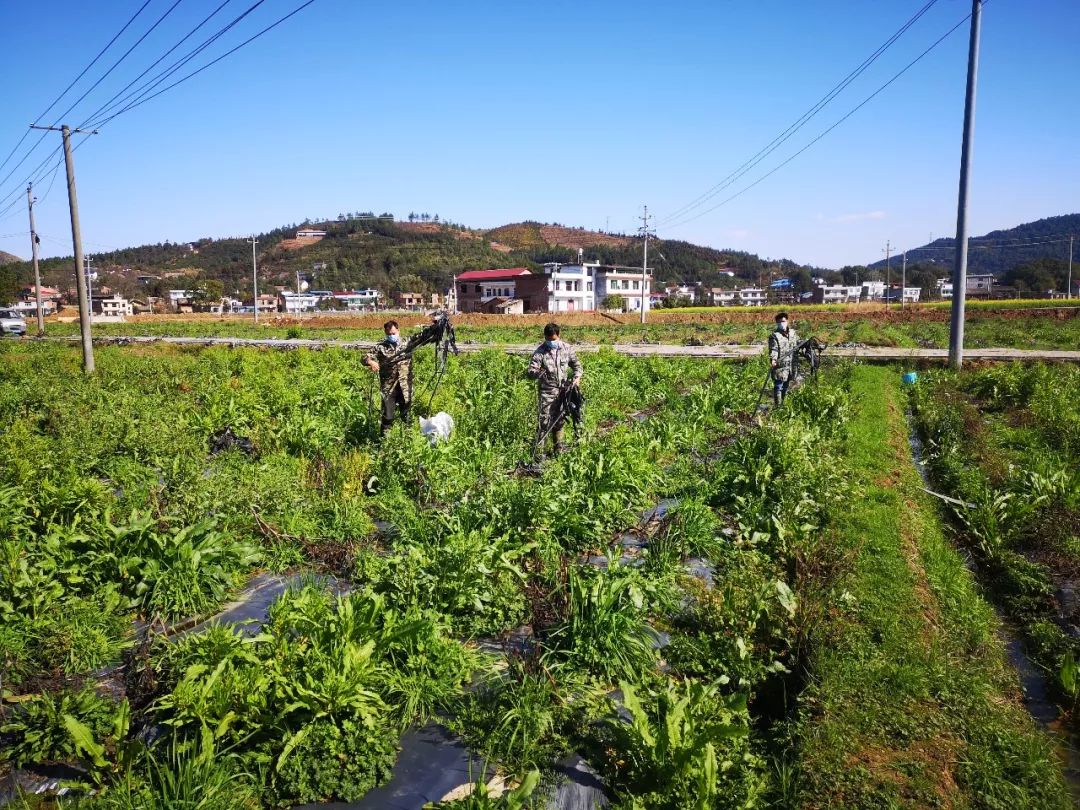 湖塘村人口_陆川清湖塘寨村(2)