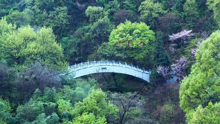 公园规划为东楼观,西楼观,田峪河,首阳山四大游园,经营总面