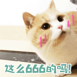 5acddde63bc147dbb2f71589e2e4c4c4.gif