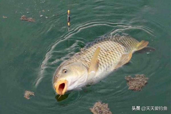 665d58927c514470a86f4a084ad3f53c.jpeg