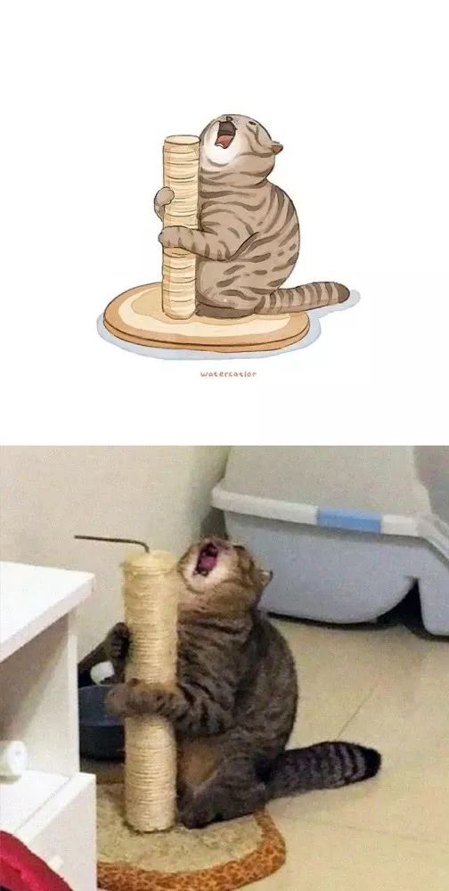 插画师还原让人哭笑不得的猫咪沙雕日常!