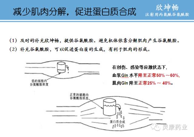 欣坤畅--注射用丙氨酰谷氨酰胺的药理活性部分是谷氨酰胺,谷氨酰胺是