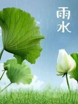 清水慈善雨水节气东风解冻散而为雨