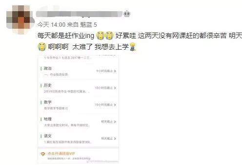 “神兽”们开始上网课了