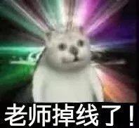 憨憨猫关于上网课的表情包合集我掉线了