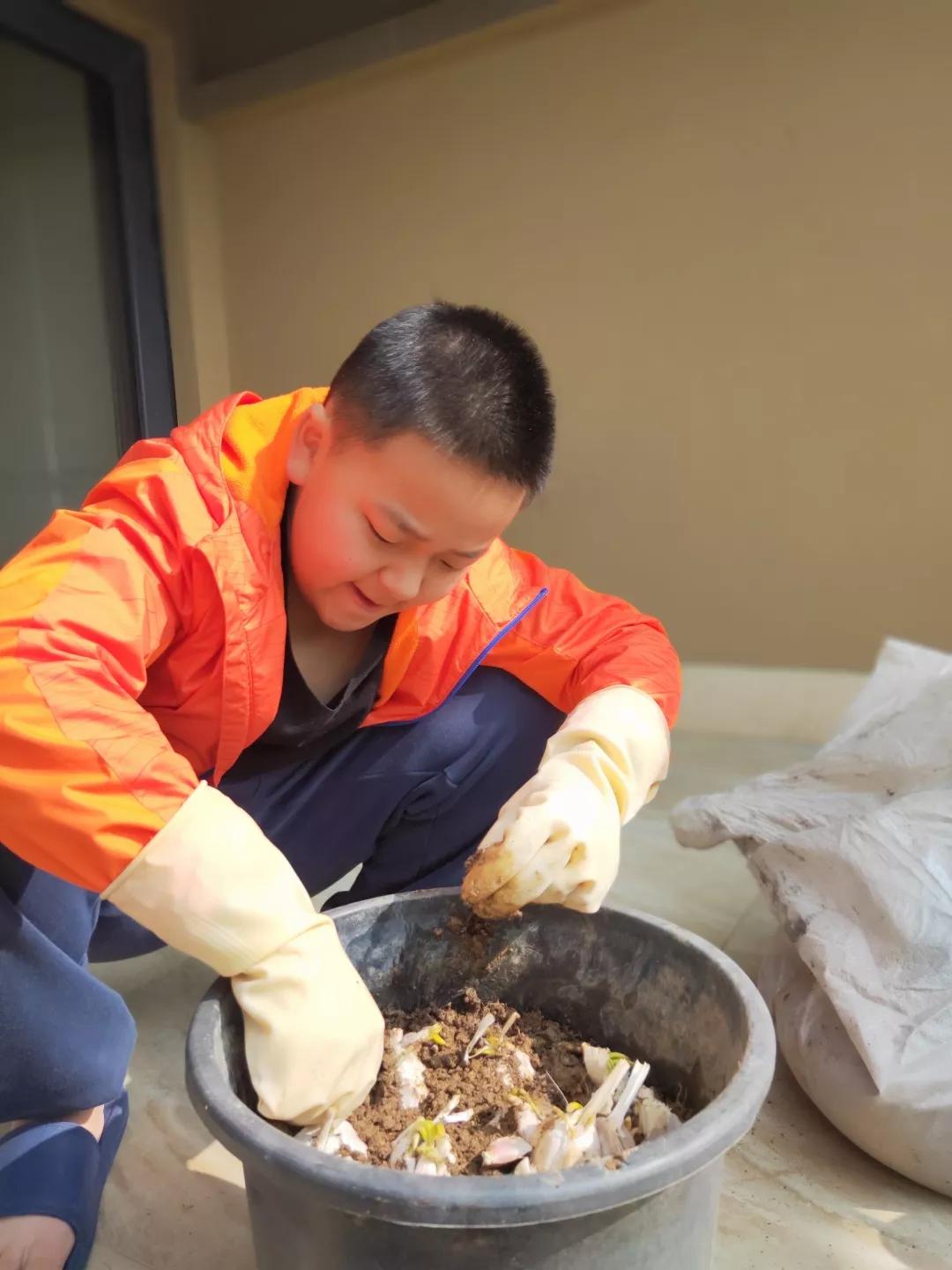 加长版寒假，打响劳动抗疫保卫战-科记汇