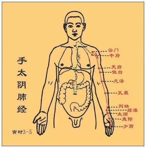 取糖尿病人所用取血针,酒精消毒耳尖部位,扎出血后稍挤,用消毒棉球