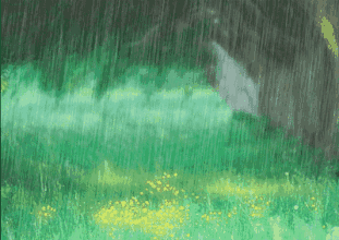 今日雨水我们相信雨定会停天定会晴