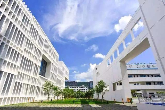 深圳技术大学新高考选考科目物理可报5个专业其它要凉凉了