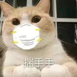 猫跟狗的表情包 a8f298dc60cc4c70a75bf995416a025b.jpeg
