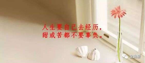 无法忘记你的歌曲的曲谱_无法忘记你杨美华图片(4)