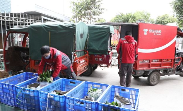 新鲜不断货宅家更安心京东移动菜篮子蔬菜生鲜配送到家再升级