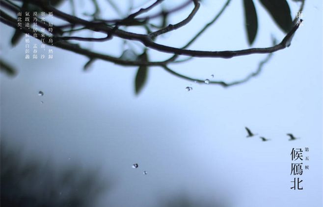 d27aa2ddf503481d962b8757feafd315.jpeg