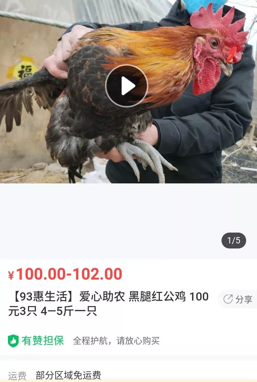 爱心助农|黑腿鸡出套餐啦~总有一款你喜欢!