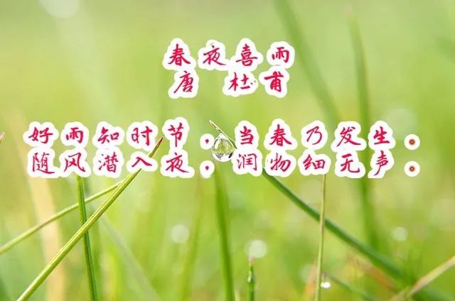 雨水节气健脾除湿感冒自疗学起来