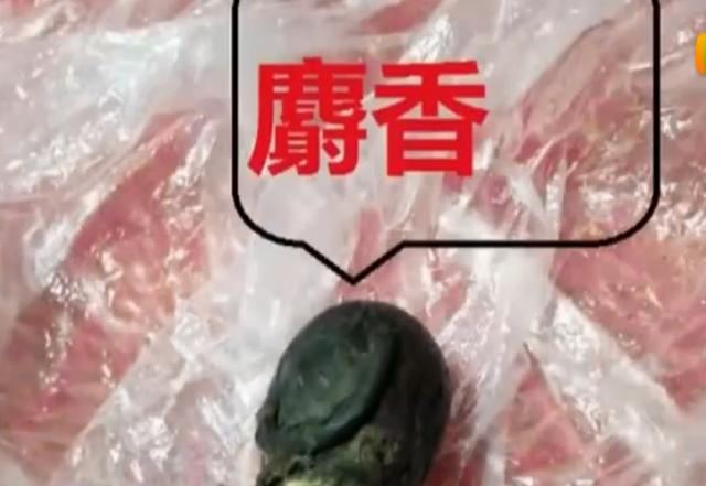 气愤!全国都在抗击疫情,有人还猎杀野生动物,熊掌獐子摆满厨房