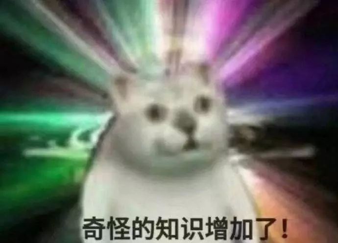 奇怪的姿势增加了!这只突然占据全网表情包的沙雕猫,竟然是