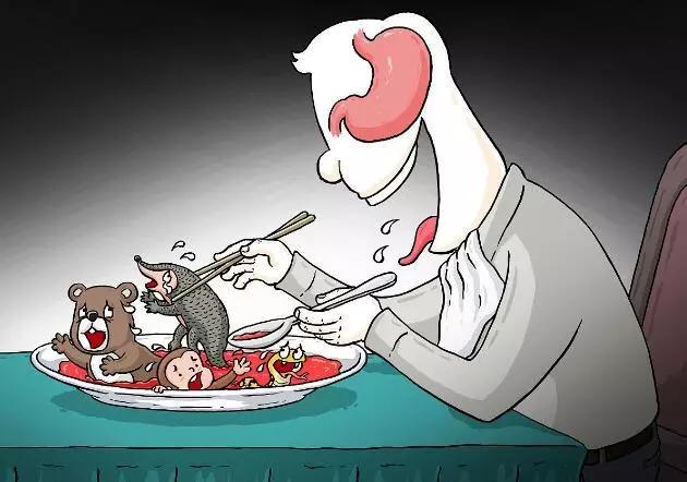 食用|人类不能吃的十大野味排行，蝙蝠第一，最后一个不少人吃过！