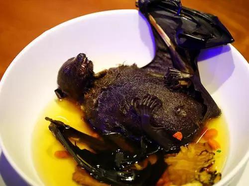 食用|人类不能吃的十大野味排行，蝙蝠第一，最后一个不少人吃过！