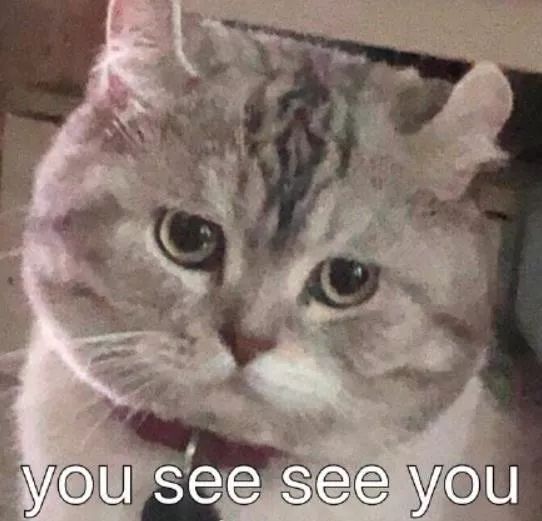 猫咪表情图文包 09e4da0ecd7c43009a9a6664646c47fc.jpeg