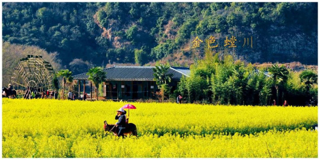 关于安宁市景区景点,部分酒店和农家乐 向全国医务工作者和公安民警