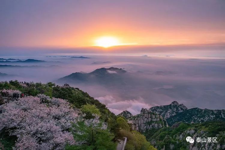 天猫淘宝优惠活动白菜券