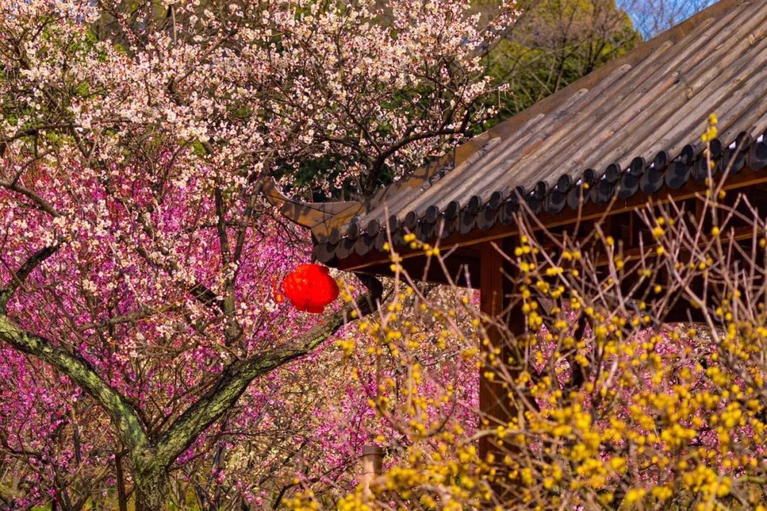 无锡梅园横山风景区