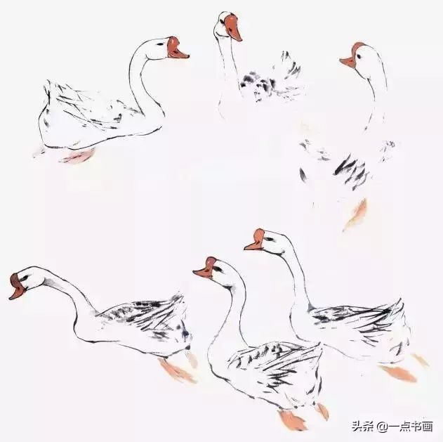 《荷塘清趣》画法步骤一:用勾皴法画出一只白鹅.