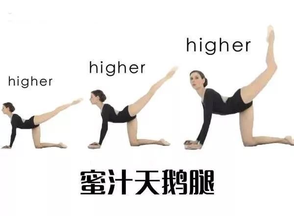 516fe5e58cda44c7bfdb5edc53d8b529.jpeg