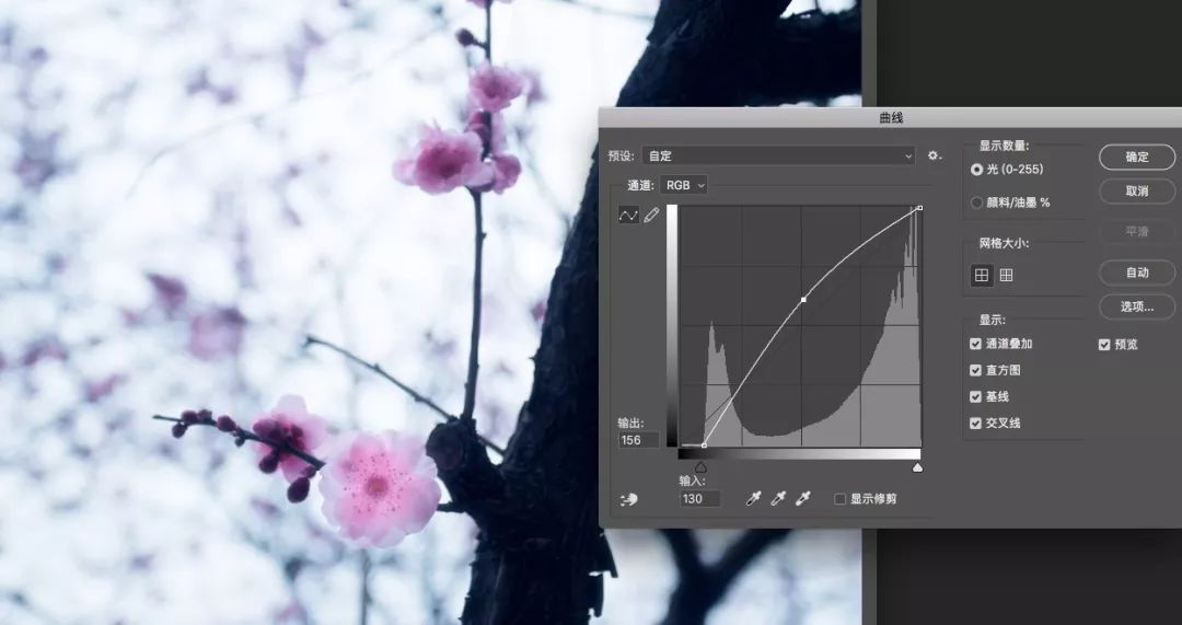 拍照怎么开滤镜 599bf317cb0c414b986988cd861f2966.jpeg