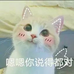 5f9d034f16a94bdd912155d5caff3b57.jpeg