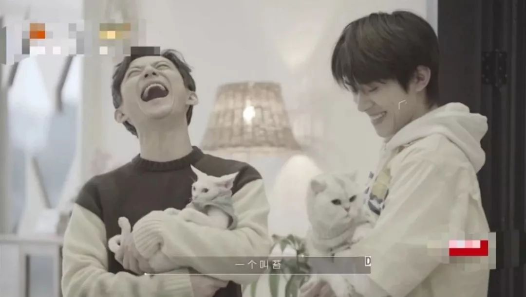 何炅谢娜再次同台完整视频 60320229698c480c9226e6d4ec04fbd9.jpeg