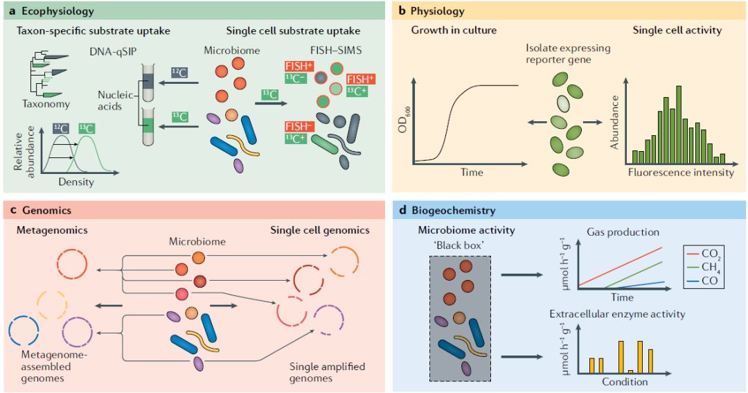 什么是单细胞生物举例 62f23a0fd9794b07a1022ed8f0be6546.jpeg